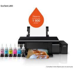 Epson EcoTank L805 Imprimante Photo à 6 réservoirs rechargeables (C11CE86402)