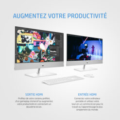 Ordinateur tout-en-un HP Pavilion 24-ca1001nk (6E0X0EA)