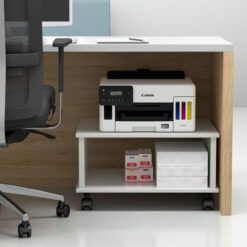 Imprimante multifonction à réservoirs rechargeables Canon MAXIFY GX5040 (5550C009AA)
